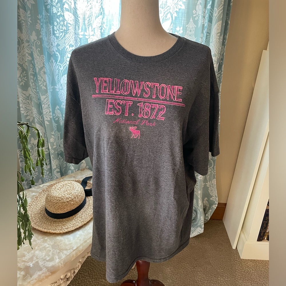 Yellowstone National Park gray and pink graphic tee